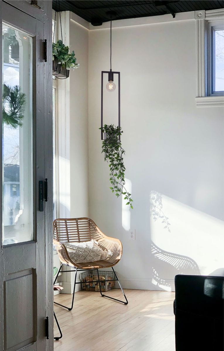 Lampa wisząca Estera w kolorze czarnym z funkcją kwietnika, z żarówką E27, zawieszona w pokoju. W tle widać rattanowe krzesło oraz rośliny. Lampa ma prostą, minimalistyczną konstrukcję, z dekoracyjnym elementem zielonym.