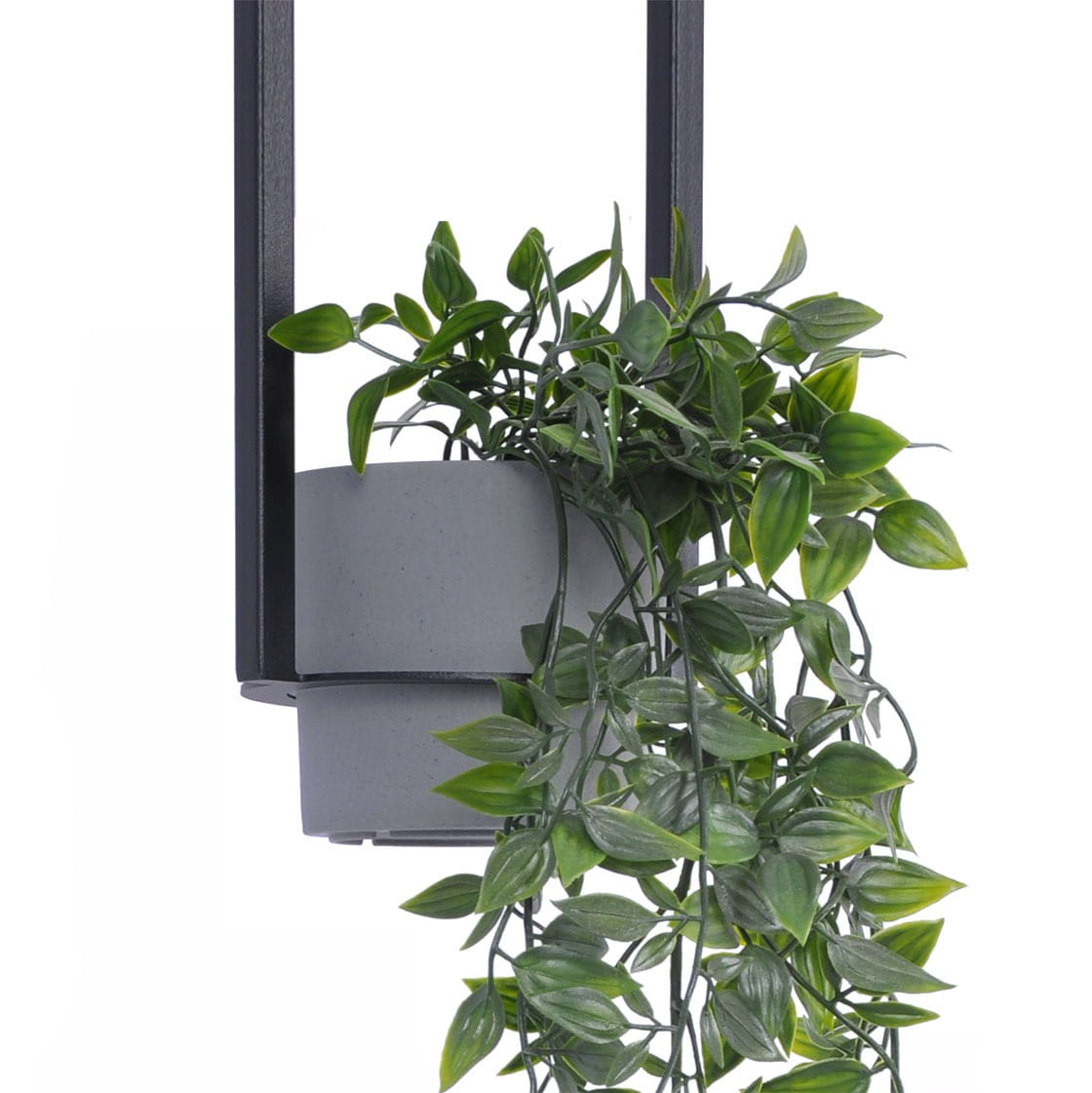 Czarna lampa wisząca Estera z funkcją kwietnika, zawieszona w pionie, z szarym doniczką i zielonymi roślinami. Estetyczny design z metalową konstrukcją, idealna do nowoczesnych wnętrz.