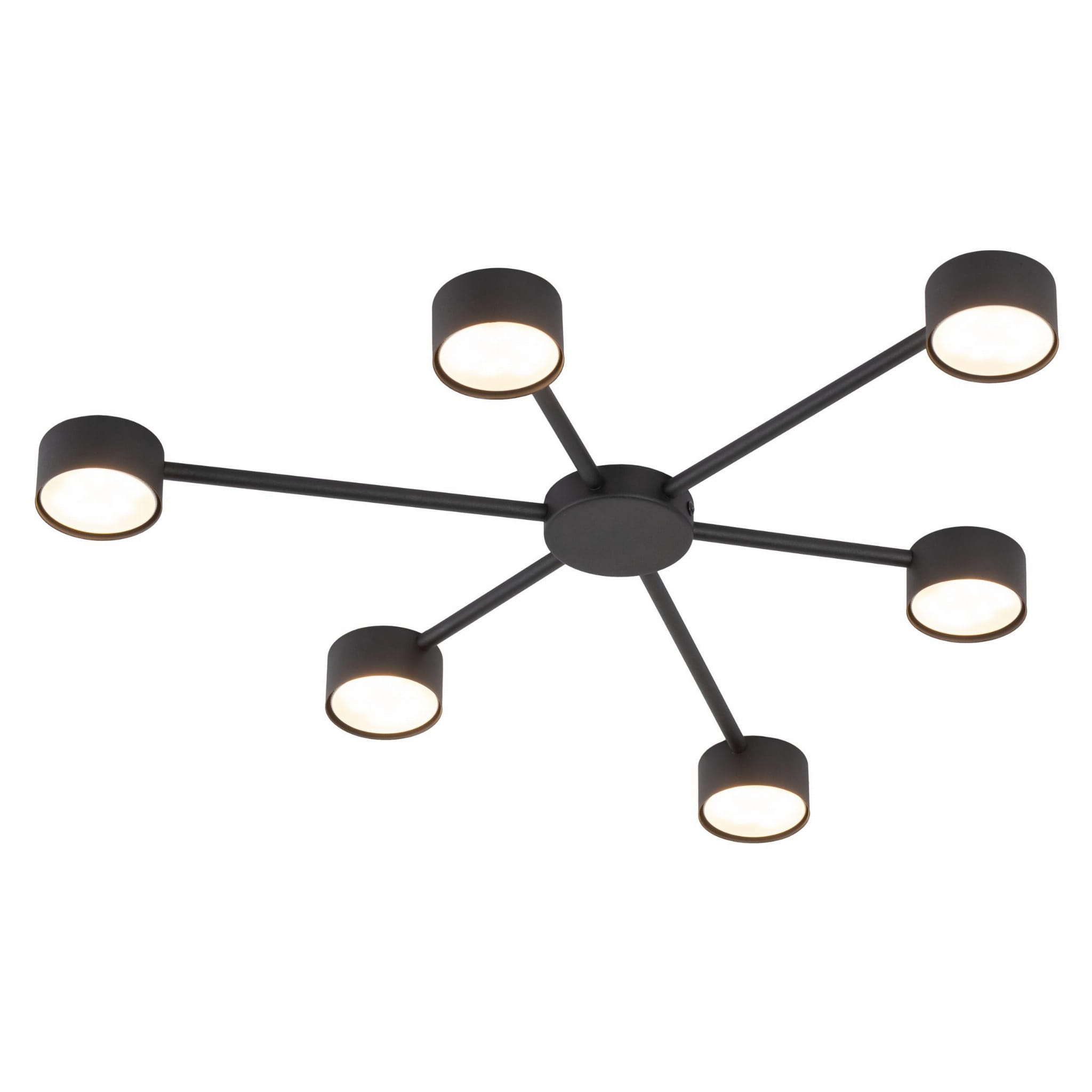 Lampa sufitowa Avia w kolorze czarnym, z sześcioma oprawami na żarówki GX53. Konstrukcja z metalowymi ramionami rozchodzącymi się od centralnego punktu. Górne klosze mają okrągły kształt z białym wnętrzem, co zapewnia równomierne oświetlenie.