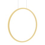 Lampa wisząca Saturno D50 w złotym kolorze, w kształcie dużego okręgu, zawieszona na cienkich, przezroczystych linkach. Produkt przeznaczony do instalacji w pomieszczeniach z ochroną IP44. Elegancka forma idealna do nowoczesnych aranżacji.
