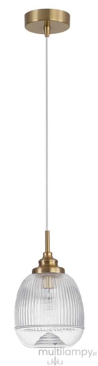 Lampa wisząca Ahigal 1xE14 w kolorze złotym. Posiada szklany klosz o teksturowanej powierzchni w kształcie dzwonu, zawieszona na cienkim przewodzie. Montowana do sufitu, idealna do nowoczesnych wnętrz.
