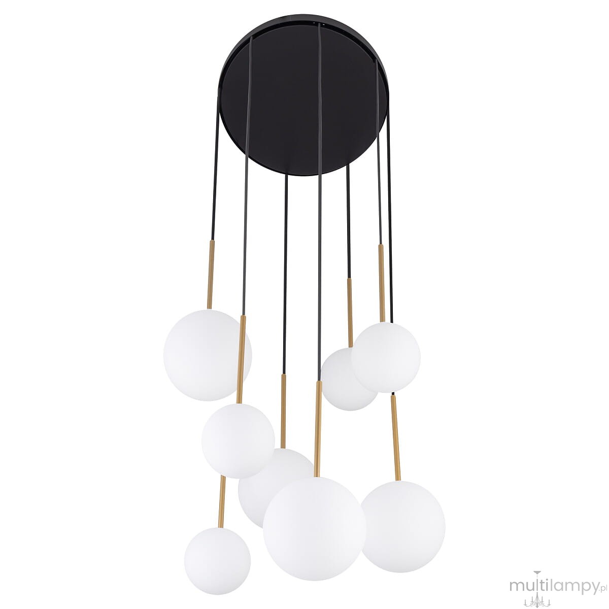 Lampa wisząca Karo z ośmioma źródłami światła G9, w kolorze czarnym z elementami złotymi. Okrągłe, białe klosze zawieszone na cienkich, czarnych linkach, tworzące nowoczesną kompozycję. Ujęcie frontalne, lampa w zwieszeniu.
