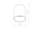Lampa sufitowa Eye Tone 1-punktowa w kolorze czarnym z srebrnym wykończeniem, o średnicy 9 cm i wysokości 11,5 cm. Prosta, cylindryczna forma, montowana sufitowo, idealna do oświetlenia wnętrz.