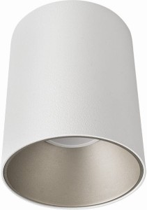 Eye Tone lampa sufitowa 1-punktowa biała/srebrna 8928