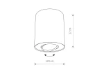 Set lampa sufitowa 1-punktowa, kierunkowa, w kolorze białym i czarnym. Okrągły klosz o średnicy 10,5 cm i wysokości 12 cm, zamontowany na suficie, umożliwiający regulację kierunku światła.