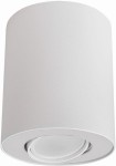 Lampa sufitowa 1-punktowa w kształcie cylindrycznym, wykonana z białego materiału, z możliwością kierunkowego oświetlenia. Ujęcie z dołu, ukazujące detal wnętrza lampy. Prosta, minimalistyczna forma idealna do nowoczesnych wnętrz.