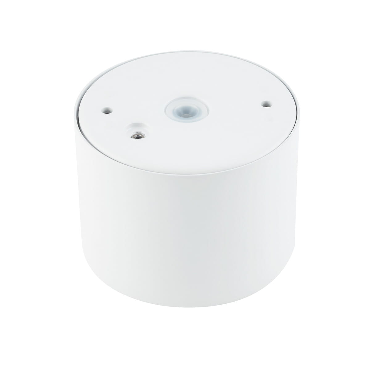 Lampa sufitowa Bol, okrągła, biała, z miejscem na żarówkę GX53. W górnej części widoczne otwory montażowe. Produkt o stopniu ochrony IP54, odporny na wilgoć i kurz. Ujęcie z góry, ukazujące gładką, matową powierzchnię.
