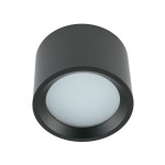 Czarna lampa sufitowa Bol z oprawą 1xGX53, o okrągłym kształcie i matowym wykończeniu. Przezroczysta, mleczna osłona na dole, montowana na suficie. IP54, idealna do użytku wewnętrznego i zewnętrznego.