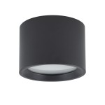 Czarna lampa sufitowa Bol 1xGX53/IP54, okrągła, z matowym wykończeniem. Ujęcie frontalne pokazuje klosz z białym wnętrzem, montowany na suficie. Odpowiednia do użytku wewnętrznego i zewnętrznego, odporna na wilgoć.