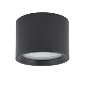 Bol lampa sufitowa 1xGX53/IP54 czarna 10484