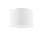Lampa sufitowa Maun w kolorze białym z oprawą na jedną żarówkę GX53, o prostym cylindrycznym kształcie. Ujęcie frontalne, produkt wiszący, wykonany z materiału odpornego na wilgoć (IP54). Idealna do nowoczesnych wnętrz.