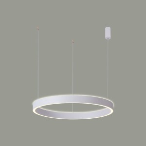 Brasco Up Down D80 lampa wisząca 2xLED/80W biała