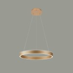 Lampa wisząca Brasco Up Down D60 w kolorze złotym, z minimalistycznym okrągłym designem. Zawieszona na cienkich żyłkach, emituje światło LED. Widoczna jest gładka, metaliczna powierzchnia oraz wewnętrzne źródło światła.