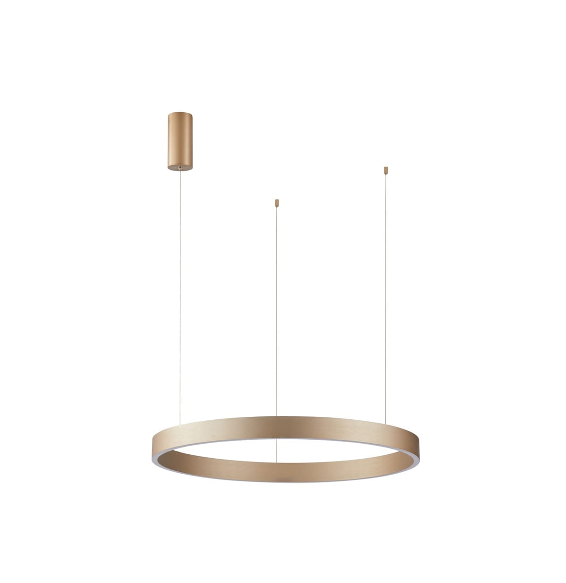 Lampa wisząca Brasco Up Down D98, złota, z dwoma źródłami światła LED o mocy 100W. Okrągły kształt z matowym wykończeniem, zawieszona na cienkich linkach. Elementy montażowe widoczne na górze.