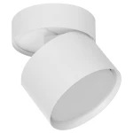 Lampa sufitowa Apilo w kolorze białym, z okrągłym kloszem, montowana na suficie. Klosz z możliwością regulacji, wykonany z matowego materiału. Widoczny gwint GX53, prosty i nowoczesny design, idealny do różnych wnętrz.