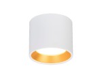 Biała lampa sufitowa w kształcie tuby z jednym gniazdem GX53, z wewnętrzną złotą powłoką. Produkt widoczny z przodu, podwieszony, prezentujący minimalistyczny design. Idealna do nowoczesnych wnętrz.