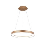 Lampa wisząca Vico D58 w złotym kolorze, z jedną diodą LED 48W. Okrągły kształt z podwójnym pierścieniem, zawieszona na cienkich linkach. Prosty design na jasnym tle, idealna do nowoczesnych wnętrz.