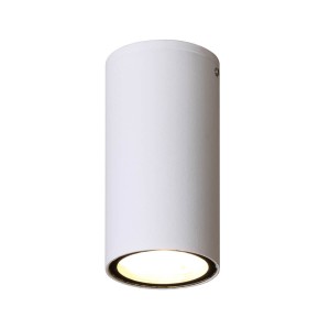 Fano 4K lampa sufitowa elewacyjna 1xLED/3W/4000K biała OPN-2002-4K