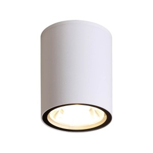 Fano 3K lampa sufitowa elewacyjna 1xLED/6W/3000K biała OPN-2006-3K