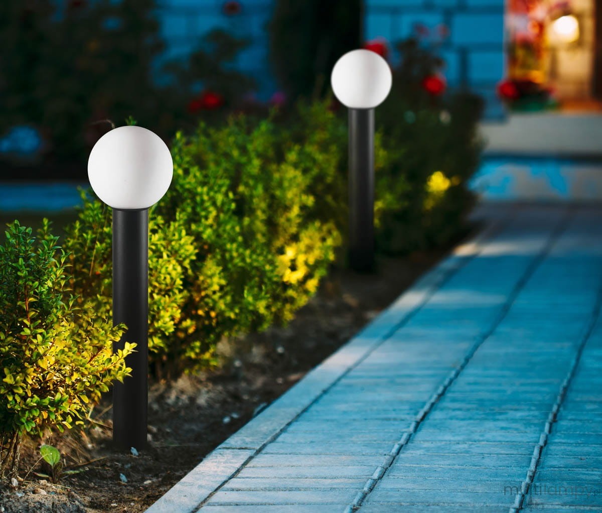 Lampa stojąca ogrodowa Feltre H80, czarna, z okrągłym kloszem w kolorze białym, umieszczona na podłużnym słupku. Widoczna wzdłuż ścieżki, otoczona zielonymi krzewami, tworzy oświetlenie w ogrodzie.