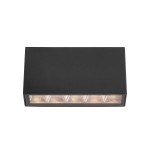 Forli 3K lampa sufitowa zewnętrzna 5xLED/5W/3000K czarna OWL-2015-3K