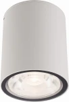 Edesa LED M lampa sufitowa elewacyjna 1-punktowa biała 9108