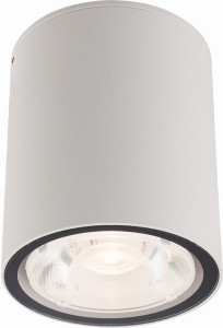 Edesa LED M lampa sufitowa elewacyjna 1-punktowa biała 9108