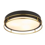 Lampa sufitowa Phoenix 3xE14 w kolorze czarnym z mosiężnymi detalami. Okrągła, płaska konstrukcja z matowym kloszem, zamontowana na suficie, z ozdobnym metalowym pierścieniem. IP44, idealna do łazienek lub stref zewnętrznych.
