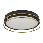 Lampa sufitowa Phoenix 3xE14, o okrągłym kształcie, z czarną obudową i mosiężnym wykończeniem. Posiada matową, białą szybę, osłaniającą źródła światła. Montowana na suficie, w stylu nowoczesnym, idealna do wnętrz.