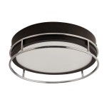 Lampa sufitowa Phoenix 2xE14/IP44 w kolorze czarnym z chromowanym pierścieniem. Okrągły kształt z białym, matowym kloszem. Zawieszona w pozycji poziomej, idealna do wnętrz. Wymiary i detale konstrukcyjne nie są widoczne.