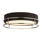 Lampa sufitowa Phoenix z dwoma gniazdami E14, w kolorze czarnym z chromowanymi detalami. Okrągła konstrukcja z matowym kloszem i metalową siatką. Wysoka klasa ochrony IP44, idealna do łazienek. Ujęcie z boku, na jednolitym tle.