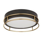 Lampa sufitowa Phoenix z dwoma gniazdami E14, o okrągłym kształcie. Czarna obudowa z metalowymi akcentami w kolorze mosiądzu oraz białą, matową osłoną. Zawieszona w pozycji poziomej, idealna do nowoczesnych wnętrz.