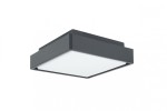 Plafon elewacyjny ścienny LED Beni D20x20 w kolorze ciemnego popielu, kwadratowy kształt. Ujęcie z boku, z widocznym białym kloszem. Wbudowane źródło światła o mocy 18W z funkcją CCT, idealny do zastosowań wewnętrznych i zewnętrznych.