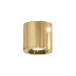 Luna lampa sufitowa tuba 1xGU10/IP65 złota CL0103-GD