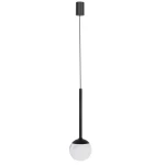 Czarna lampa wisząca Orra z jedną żarówką LED o mocy 6W. Produkt ma cienki, prosty stelaż z metalową podsufitką oraz okrągły klosz z białego szkła. Lampa wisi pionowo, podświetlając przestrzeń poniżej. Tło jest jasne i jednolite.
