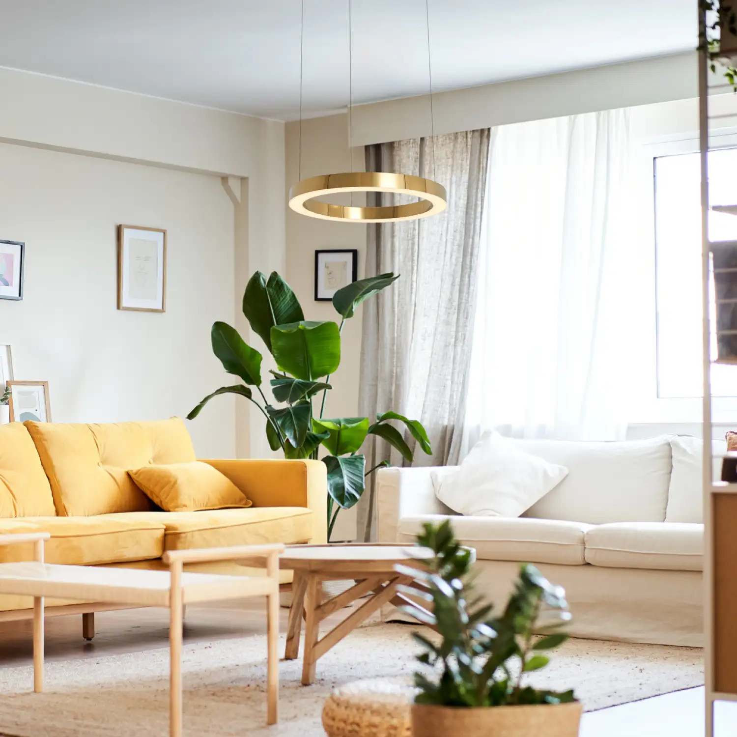 Lampa wisząca Aurum D60 w kolorze złotym, z jednym źródłem LED o mocy 27W. Umieszczona w nowoczesnym wnętrzu nad drewnianym stołem, otoczona roślinami i meblami w jasnych odcieniach. Kąt ujęcia z boku, ukazujący elegancki design lampy.