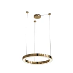 Aurum D60 lampa wisząca 1xLED/27W złota PL0116-50