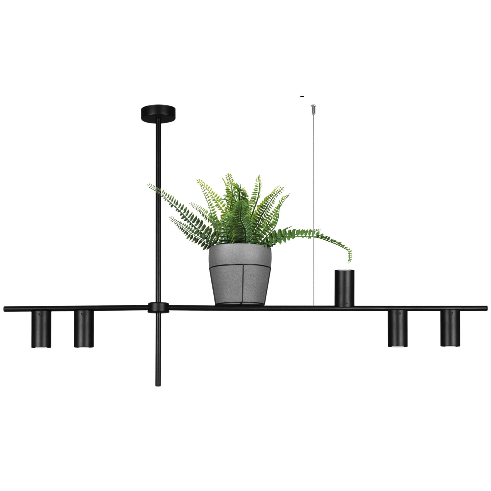 Lampa wisząca Rocco w kolorze czarnym z pięcioma oprawami GU10. Posiada prostą, metalową konstrukcję z poziomą belką, na której umieszczona jest doniczka z zieloną rośliną. Ujęcie z dołu, z wyeksponowanymi detalami i uchwytem do zawieszenia.