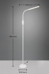 Biała lampa podłogowa Toro z jedną żarówką LED o mocy 5W. Posiada smukły, zakrzywiony kształt, z podstawą o średnicy 210 mm i wysokości 1450 mm. Ujęcie frontalne, na jednolitym tle, z widoczną wtyczką elektryczną.