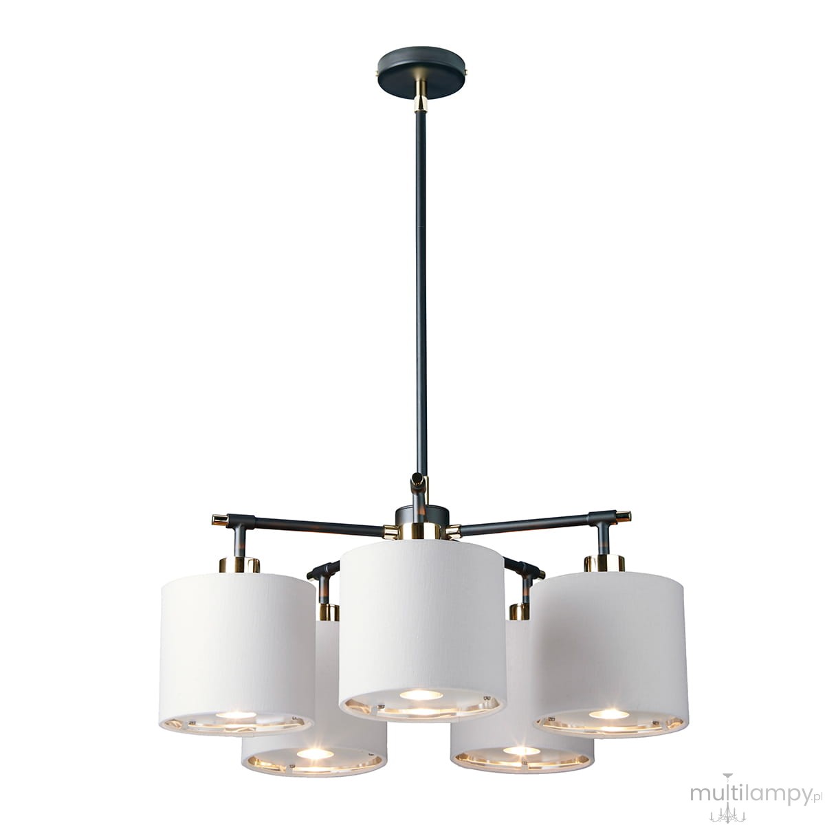 Lampa wisząca Balance 5xE27 w białym i czarnym kolorze. Posiada pięć cylindrycznych kloszy z białego materiału, z metalowymi detalami w złotym wykończeniu. Montaż sufitowy, zawieszona na cienkiej rurze. Nowoczesny design, idealna do aranżacji wnętrz.