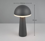 Lampa stołowa Fungo w antracytowym kolorze, z cylindrycznym trzonem i okrągłym kloszem. Wysokość 300 mm, średnica klosza 160 mm. Źródło światła LED 1x2W. Prosta, nowoczesna forma, idealna do użytku zewnętrznego.