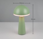 Lampa stołowa Fungo zewnętrzna, zielona, o wysokości 300 mm i średnicy 160 mm. Ma kształt grzyba z matowym wykończeniem i wbudowanym źródłem światła LED o mocy 2W. Umieszczona na jednolitym tle, w pozycji stojącej.