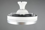 Lampa sufitowa Lindberg z wentylatorem, w kolorze białym i tytanowym. Okrągły klosz z przezroczystą osłoną, metalowe wykończenie. Zdalne sterowanie. Widok z boku, pokazujący detal konstrukcji i wentylatora.