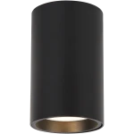 Lampa sufitowa Genesis H10 w kolorze czarnym, o cylindrycznym kształcie. Ujęcie frontalne, widoczna oprawa na jedną żarówkę GU10. Wnętrze klosza w odcieniu złotym, co dodaje elegancji. Idealna do nowoczesnych wnętrz.