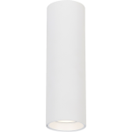 Lampa sufitowa Genesis H20 w kolorze białym, o cylindrycznym kształcie, z oprawą na jedną żarówkę GU10. Umieszczona w pozycji wiszącej, z widocznym otworem u dołu, który emituje światło. Prosty, nowoczesny design, idealna do aranżacji wnętrz.