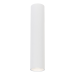 Lampa sufitowa Genesis H30 w kolorze białym, o cylindrycznym kształcie, z oprawą na jedną żarówkę GU10. Ujęcie frontalne, lampa zamontowana na suficie, minimalistyczny design bez dodatkowych zdobień.