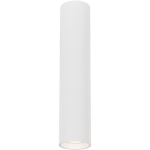Lampa sufitowa Genesis H30 w kolorze białym, cylindryczny kształt, wyposażona w jeden gwint GU10. Ujęcie frontalne, zawieszona na suficie, minimalistyczny design, gładka powierzchnia.