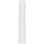 Lampa sufitowa Genesis H40 w białym kolorze, o cylindrycznym kształcie. Ujęcie frontalne, lampa zawieszona, z widocznym otworem na żarówkę GU10 na dole. Prosty design, idealna do nowoczesnych wnętrz.