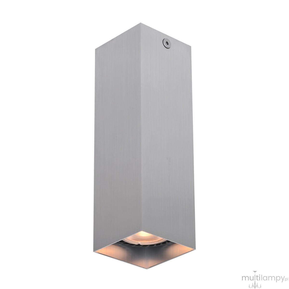 Lampa sufitowa Ander 1xGU10 w kolorze aluminiowym, o prostokątnym kształcie. Widok z boku, z zamontowanym źródłem światła na dole, z delikatną fakturą metalową. Świetnie nadaje się do nowoczesnych wnętrz.