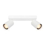 Lampa sufitowa Nesto, biała, z dwoma reflektorami typu GU10. Ujęcie frontalne, z widoczną prostokątną podstawą oraz zaokrąglonymi kloszami. Reflektory skierowane w różne strony, na jednolitym tle. Idealna do oświetlenia wnętrz.
